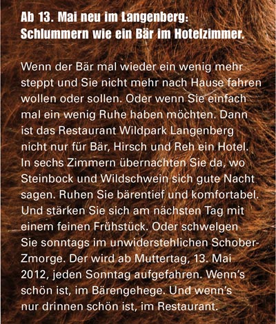 Wenn der Bär mal wieder ein wenig mehr steppt und Sie nicht mehr nach Hause fahren wollen oder sollen. Oder wenn Sie einfach mal ein wenig Ruhe haben möchten. Dann ist das Restaurant Wildpark Langenberg nicht nur f¨r Bär, Hirsch und Reh ein Hotel. In sechs Zimmern ¨bernachten Sie da, wo Steinbock und Wildschwein sich gute Nacht sagen. Ruhen Sie bärentief und komfortabel. Und stärken Sie sich am nächsten Tag mit einem feinen Fr¨hst¨ck. Oder schwelgen Sie sonntags im unwiderstehlichen Schober-Zmorge. Der wird ab Muttertag, 13. Mai 2012, jeden Sonntag aufgefahren. Wenn's schön ist, im Börengehege. Und wenn's nur drinnen schön ist, im Restaurant. 